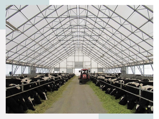 Тентовые коровники в Ишимбае от 608 руб. - Надежно и доступно